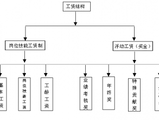 公司劳动工资结构