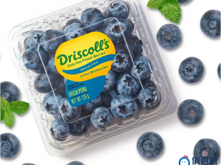 Driscoll's怡颗莓，蓝莓界的保时捷