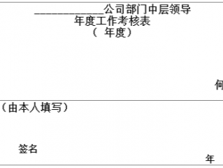 公司部门中层领导年度工作考核表