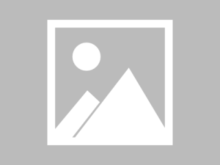 新浪公司logo的寓意