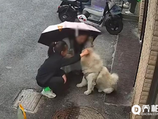 江苏女子路边碰见狗好奇上前摸几下 遭狗撕咬面部，痛苦尖叫！